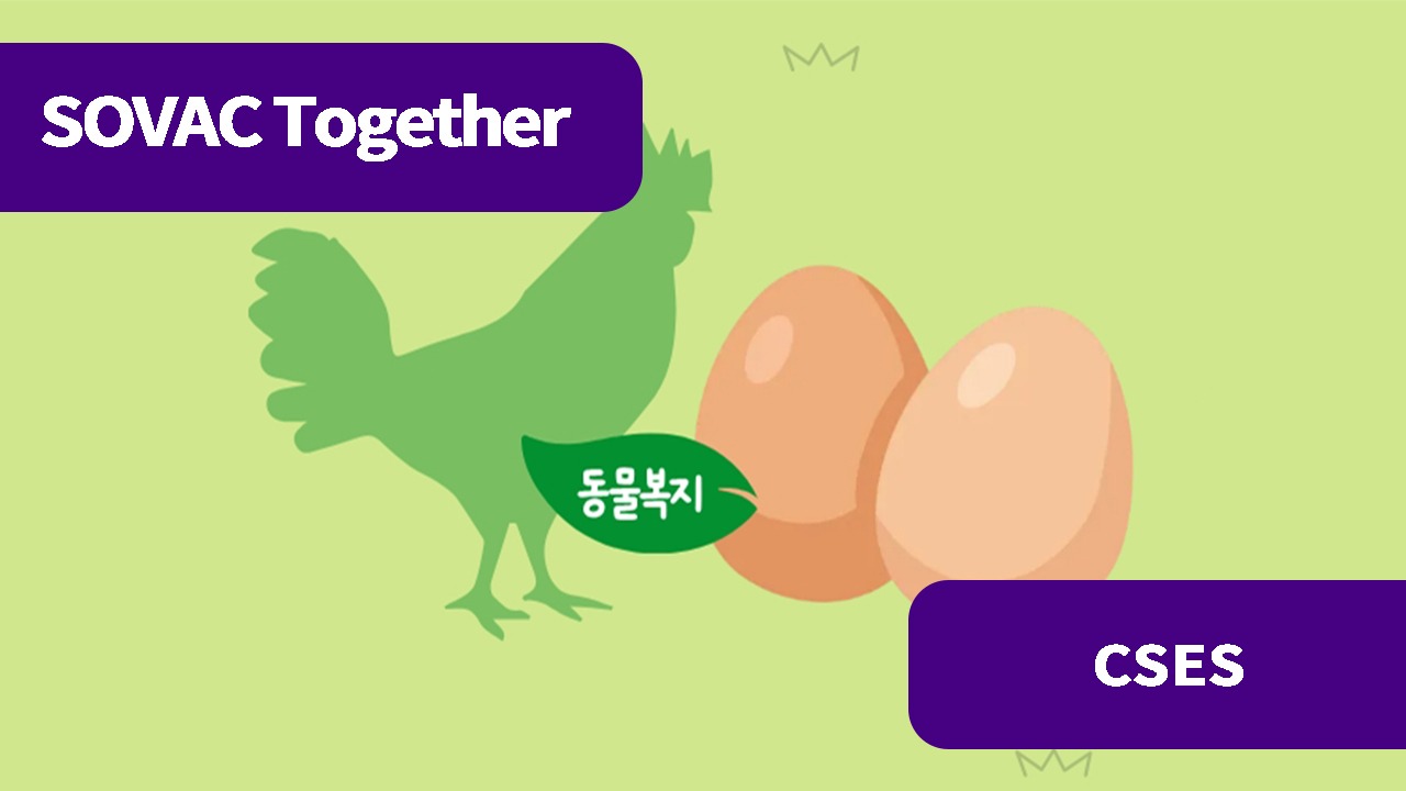 계란이 던지는 질문, 시장가격으로 드러나지 않는 동물복지의 가치를 어떻게 측정할까?